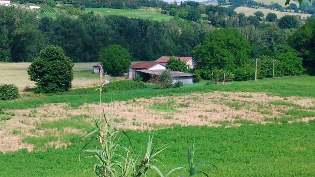 Vai alla scheda: Casa indipendente Vendita Meldola