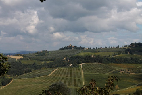 Vai alla scheda: Appartamento Affitto Montespertoli