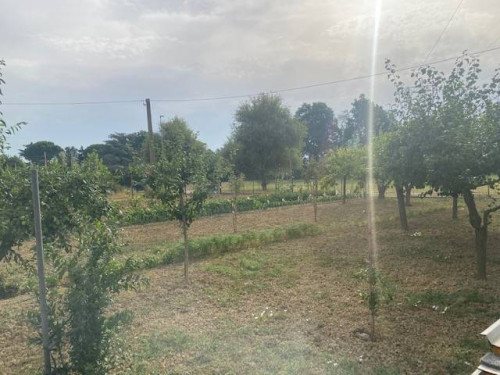 Vai alla scheda: Terreno Agricolo Vendita Empoli