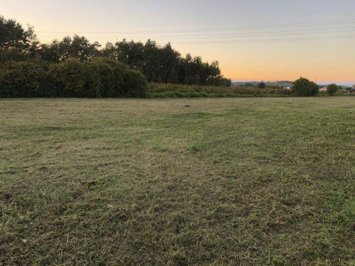 Vai alla scheda: Terreno Agricolo Vendita Empoli