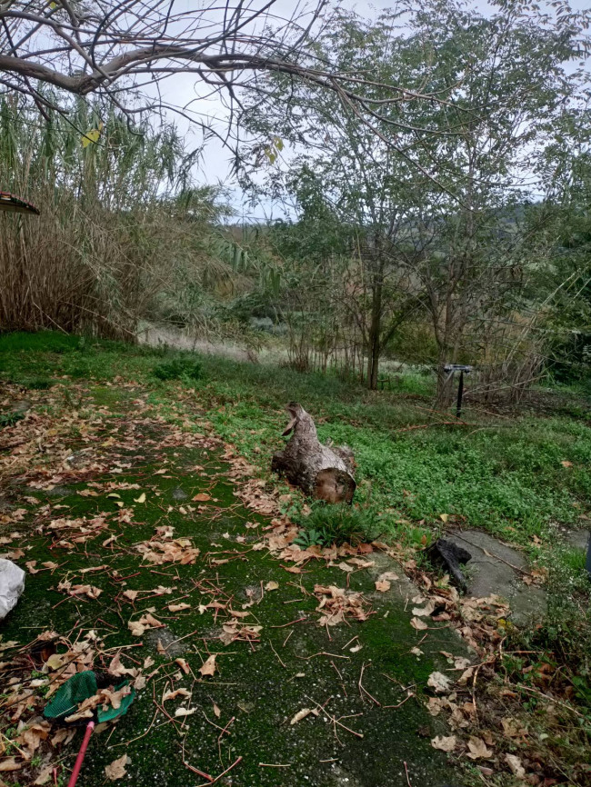 Vai alla scheda: Casa indipendente Vendita Montespertoli