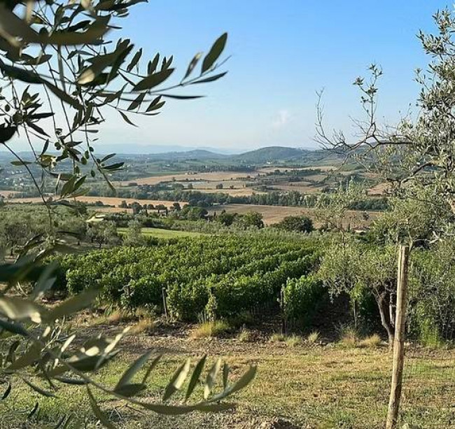 Vai alla scheda: Attivit Commerciale Vendita Empoli